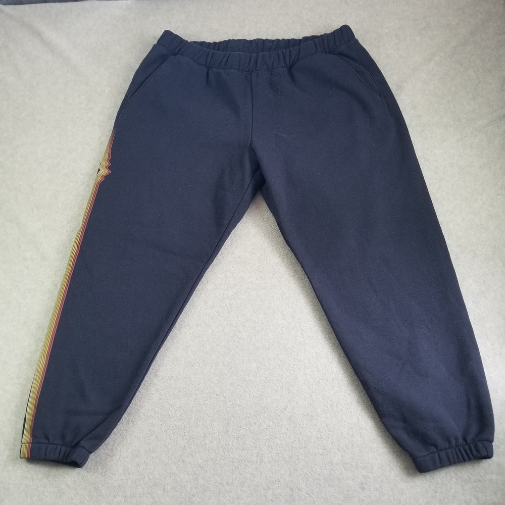 Patagonia Sweatpants Mens Extra Large Navy Fleece Joggers Alpine Icon Stripe